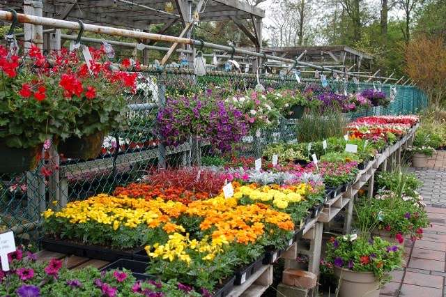 Hammetts Landscaping & Garden Center | 425 S Main St, Forked River, NJ 08731, USA | Phone: (609) 971-0453