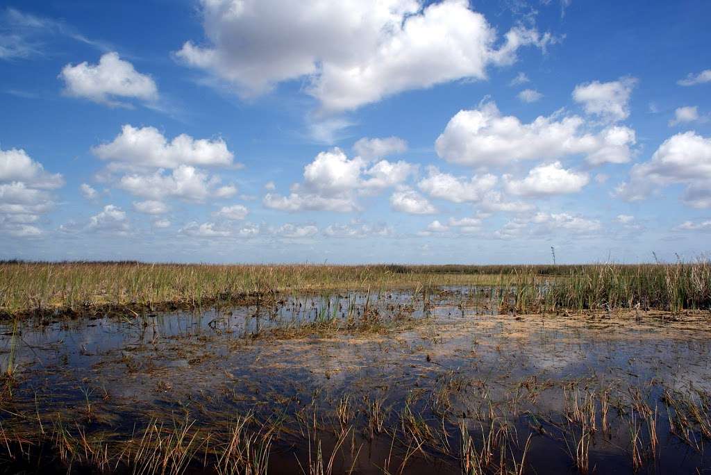 Browns Farm Wildlife Management Area | Florida, USA | Phone: (561) 686-6800