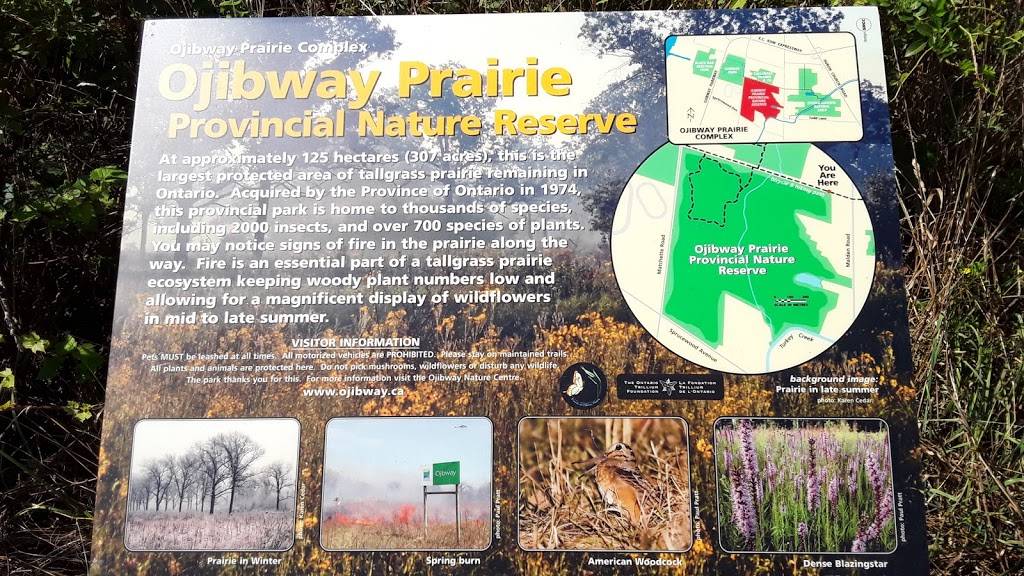 Ojibway Prairie Provincial Nature Reserve Parking lot and trail  | 5249 Elgin St, Windsor, ON N9E 3V3, Canada | Phone: (519) 966-5852
