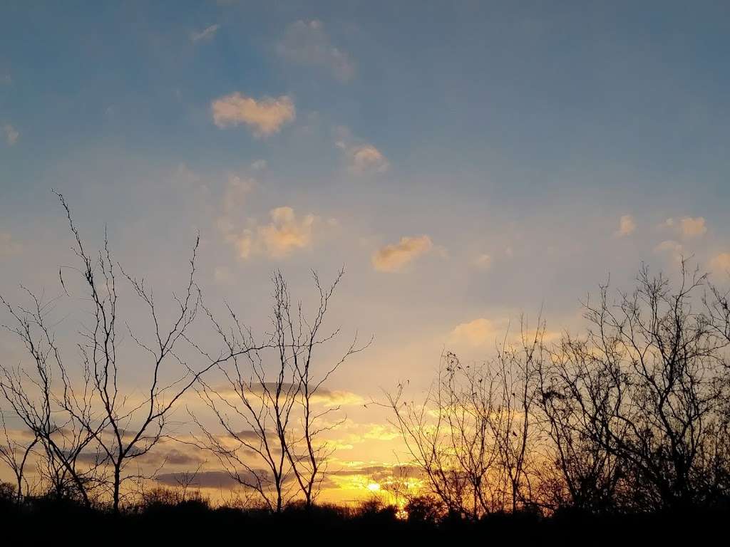 Cut Off Park | 909N FM1518, Schertz, TX 78154, USA | Phone: (210) 619-1850 Cut Off Park | 909N FM1518, Schertz, TX 78154, USA | Phone: (210) 619-1850