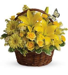 Forget Me Not Florist & Flower Preservation | 2394 Dupont Pkwy, Middletown, DE 19709, USA | Phone: (302) 378-4121