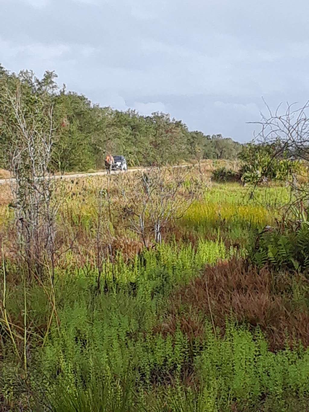 Three Lakes Wildlife Management Area | 1231 Prairie Lakes Rd, Kenansville, FL 34739, USA | Phone: (352) 732-1225