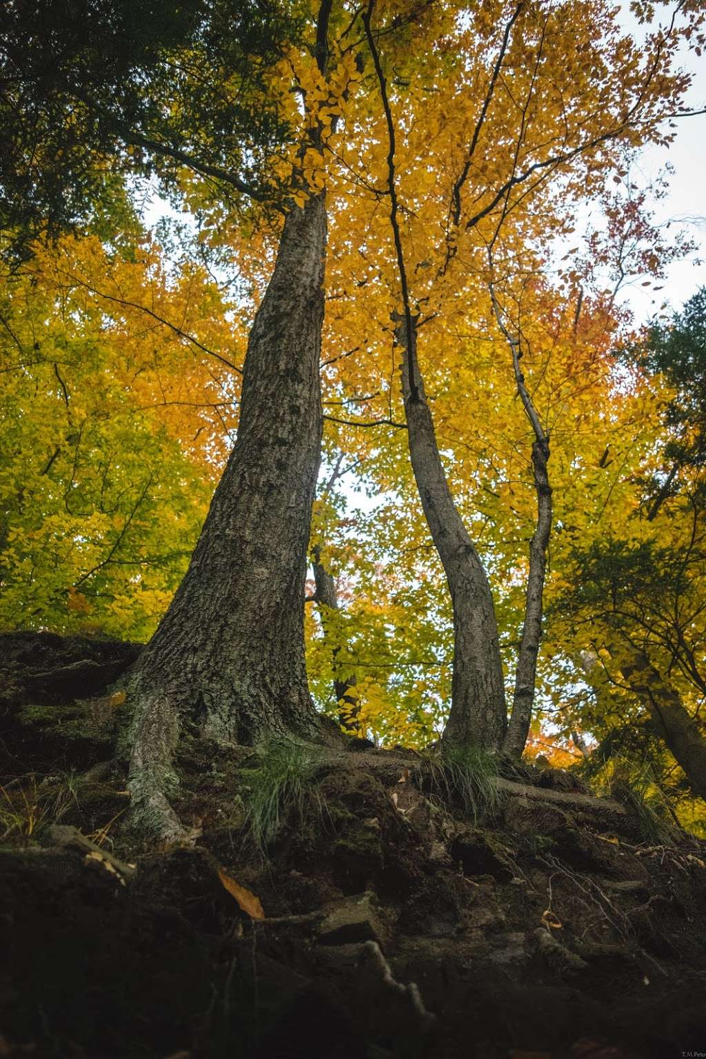 Tyler Park - South Entrance | Newtown, PA 18940, USA