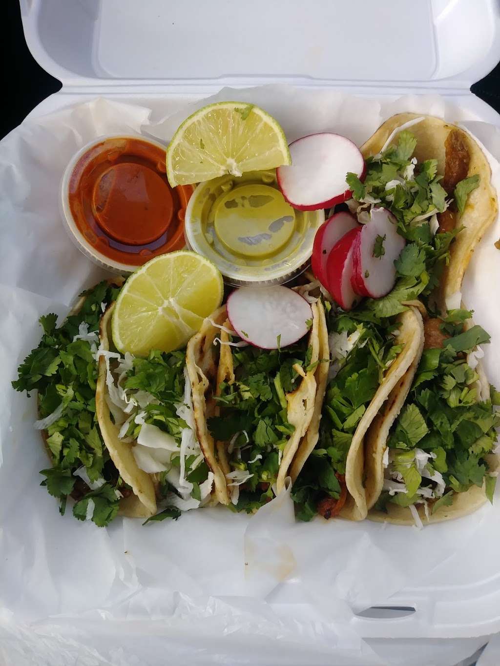 Taqueria Y Paleteria Guerrense | 505 S Combee Rd, Lakeland, FL 33801, USA | Phone: (863) 666-6014