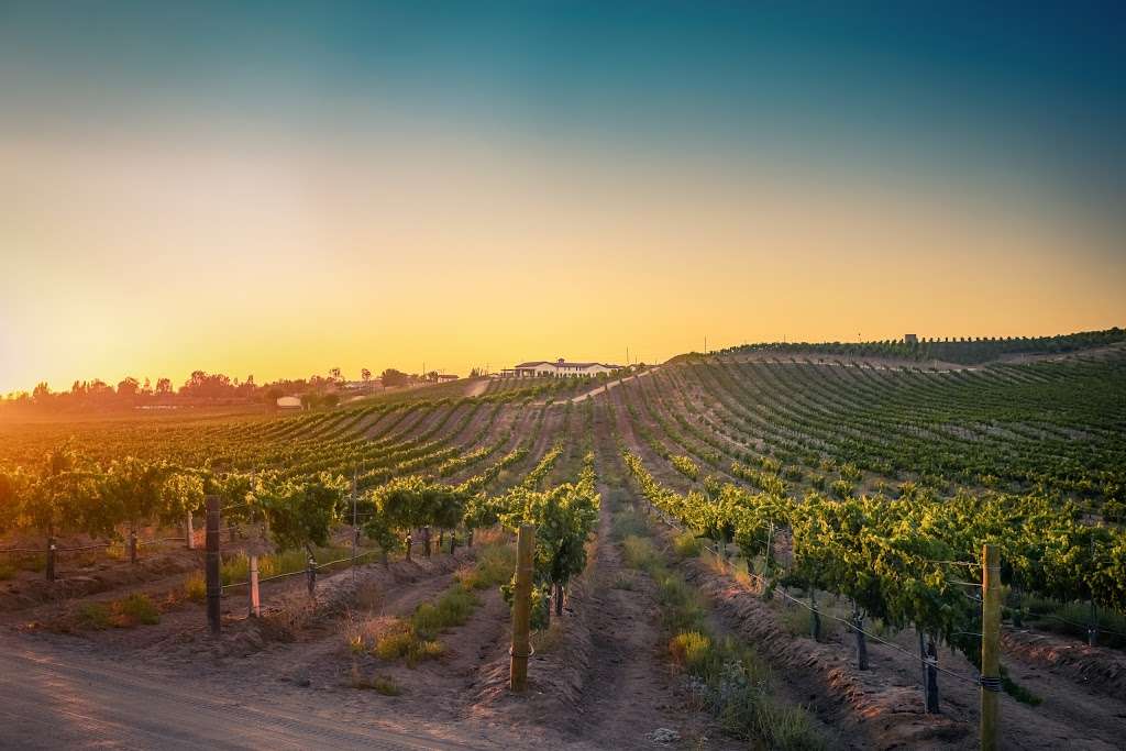 Avensole Winery | 34567 Rancho California Rd, Temecula, CA 92592, USA | Phone: (951) 252-2003