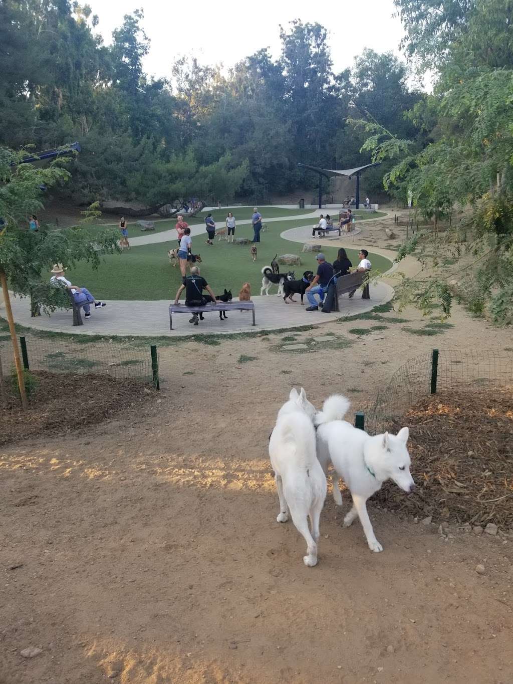 Eagle Rock Dog Park | Eagle Rock, CA 90041, USA