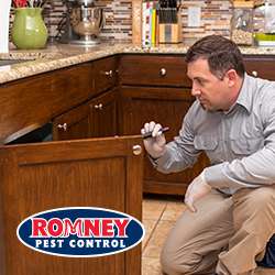 Romney Pest Control | 17170 Jordan Rd Suite 302, Selma, TX 78154, USA | Phone: (210) 446-5267