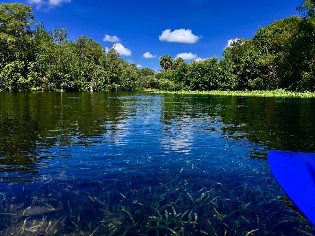 Kayak Silver Springs | Silver Springs State Park, 5656 E Silver Springs Blvd, Silver Springs, FL 34488, USA | Phone: (904) 315-8442