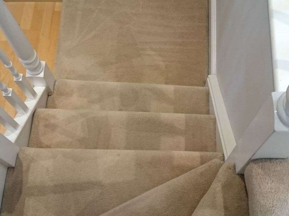 Premier Carpet Cleaning - St Albans | 188 The Ridgeway, St Albans AL4 9XJ, UK | Phone: 01727 600661