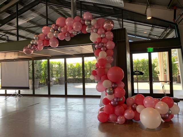 The Balloon People | 6640 E Presidio Rd, Scottsdale, AZ 85254, USA | Phone: (602) 359-2238