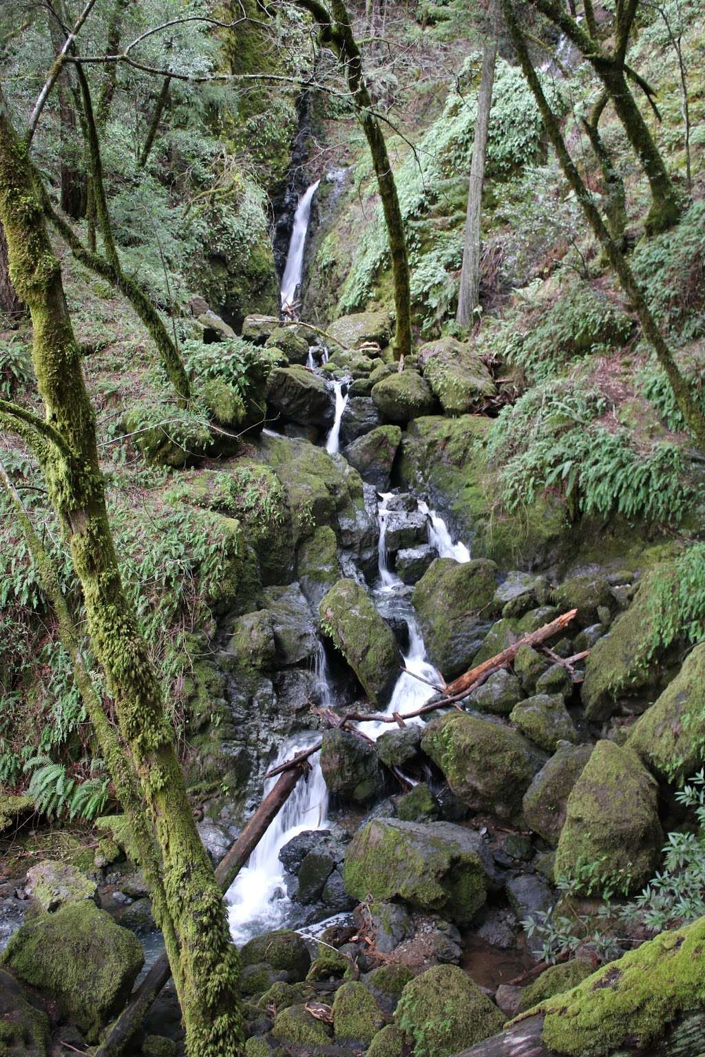 Cascade Falls | Cascade Falls Trail, Fairfax, CA 94930, USA | Phone: (571) 608-2147