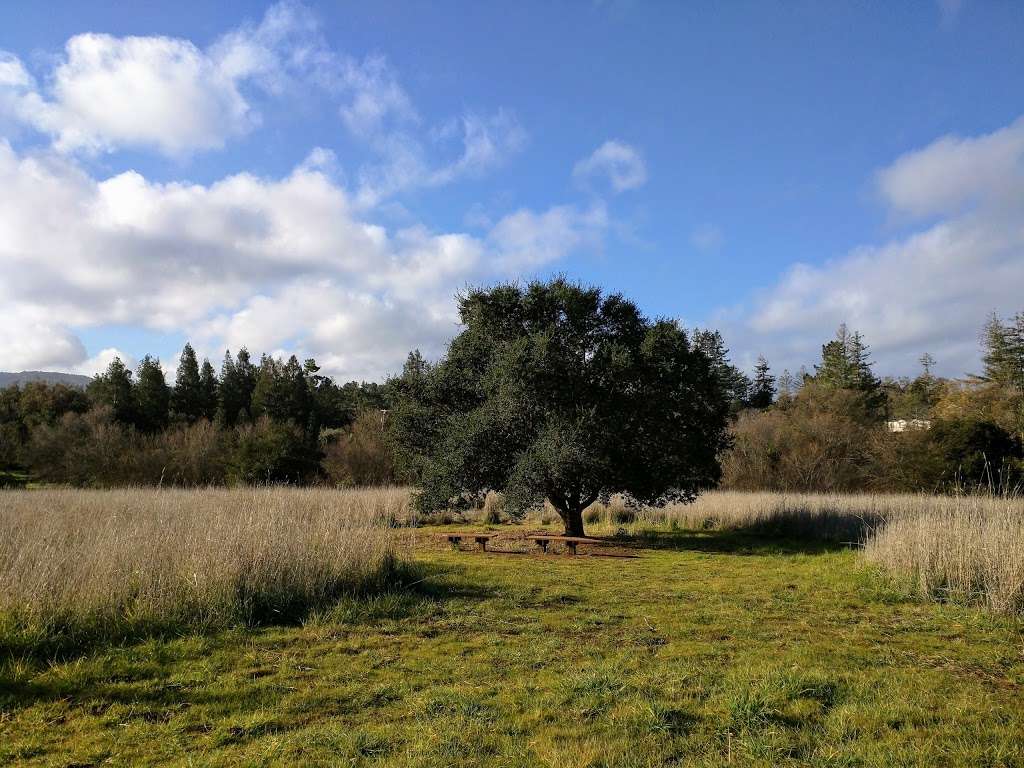 Esther Clark Park | Old Adobe Rd, Palo Alto, CA 94306, USA | Phone: (650) 329-2423