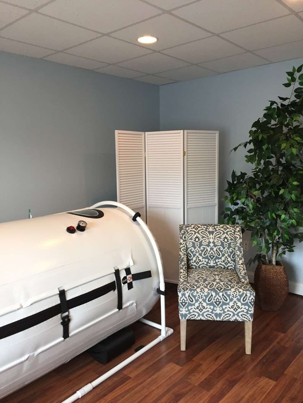 The Cleansing Tree | 9 Kingsland Dr #103, Stafford, VA 22556, USA | Phone: (540) 288-2898