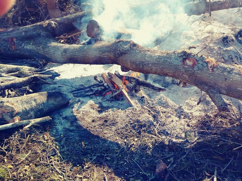 Big Reds Soul Food (And Firewood) | 15905-16079 FM 149, Montgomery, TX 77356