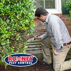 Romney Pest Control | 17170 Jordan Rd Suite 302, Selma, TX 78154, USA | Phone: (210) 446-5267