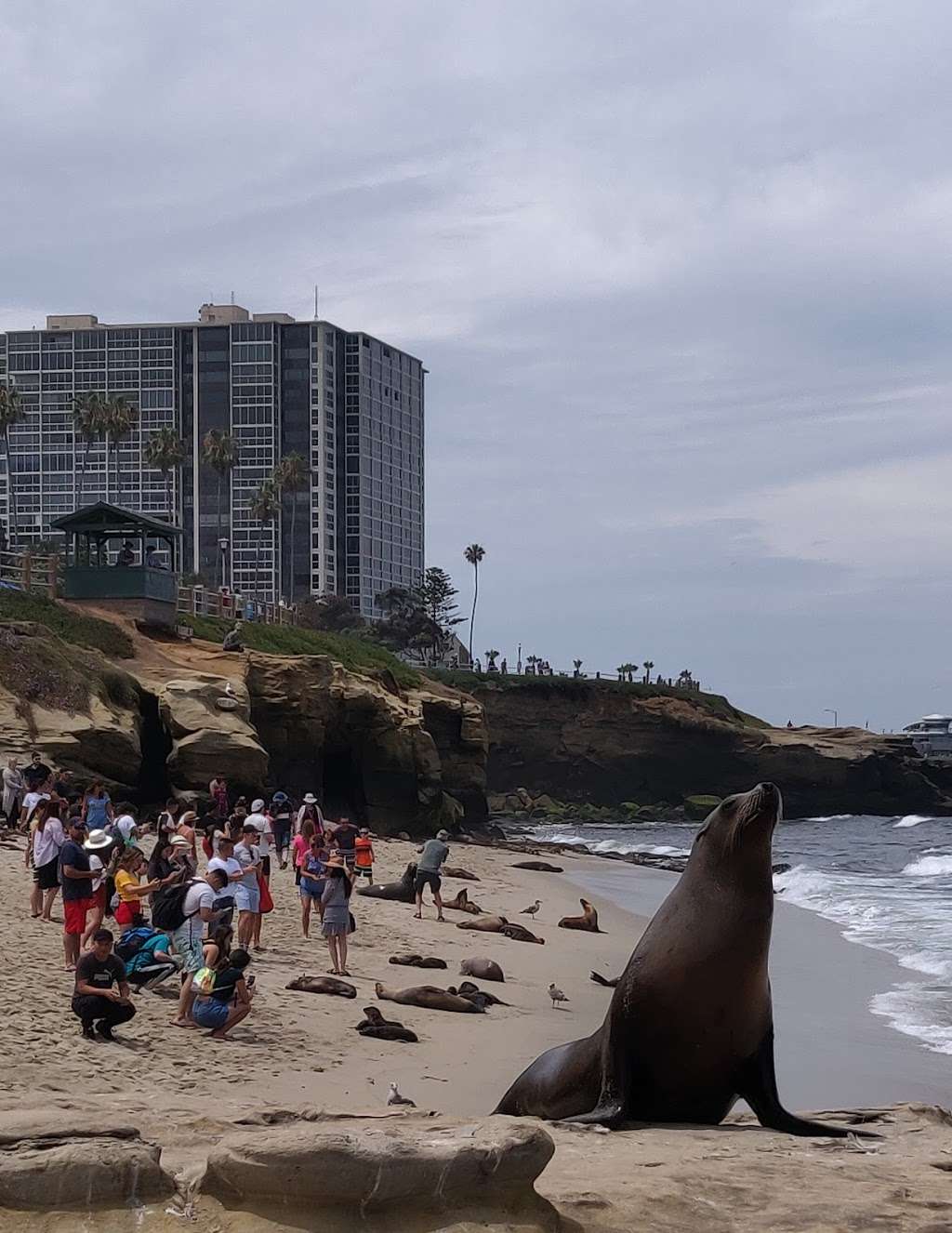 South Boundary Of Matlahuayl MPA | 1160 Coast Blvd, La Jolla, CA 92037, USA