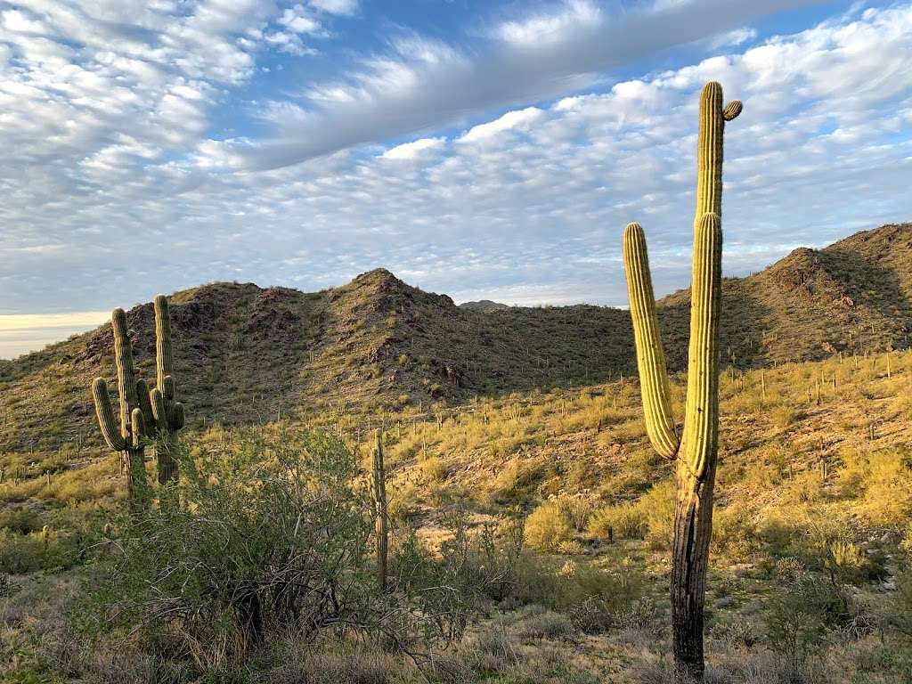 McDowell Sonoran Preserve Gateway Trail | 18333 N Thompson Peak Pkwy, Scottsdale, AZ 85255, USA | Phone: (480) 312-7013