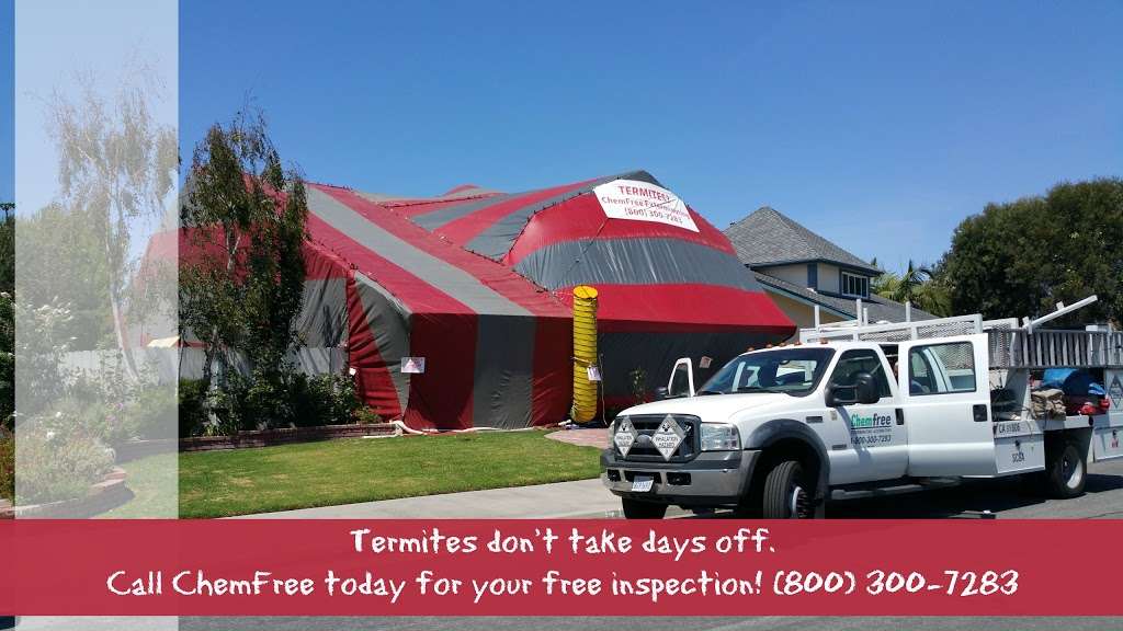 Chemfree Exterminating | 518 S Central Park Ave E, Anaheim, CA 92802, USA | Phone: (800) 300-7283