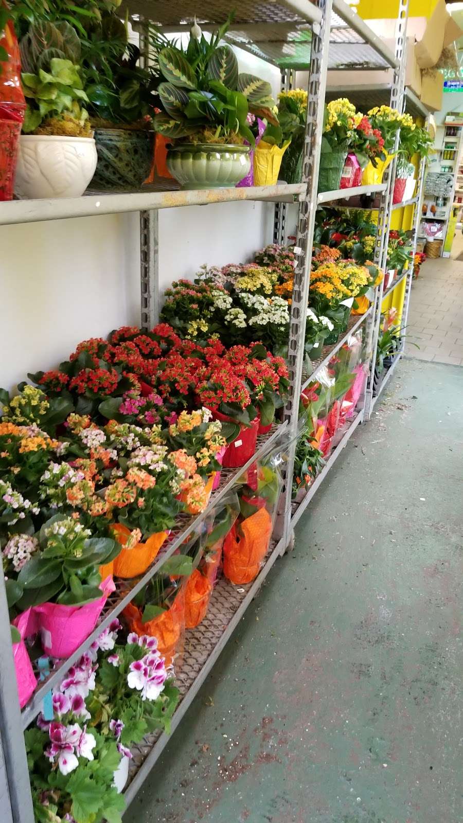 Shannon Florist & Nursery | 3380 Fort Hamilton Pkwy, Brooklyn, NY 11218, USA | Phone: (718) 436-4521