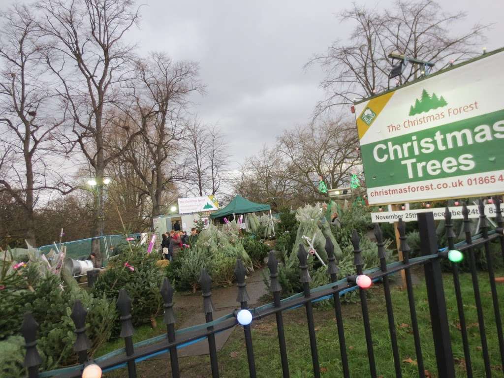 The Christmas Forest | Streatham and Marlborough Cricket Club, Dulwich Common, London SE21 7EX, UK | Phone: 020 3953 8794