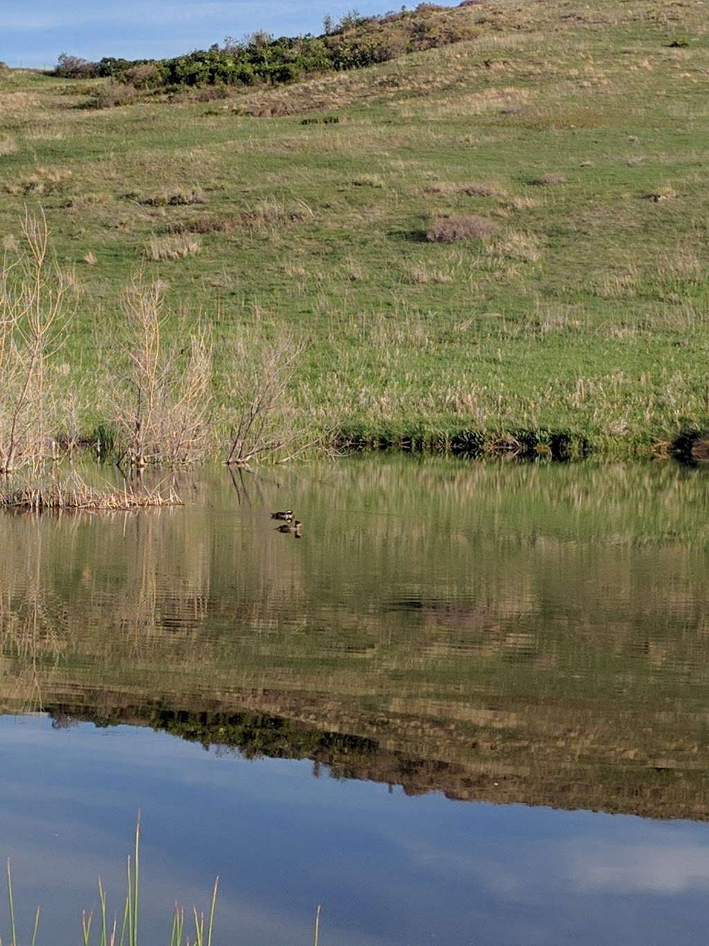 Pattridge Open Space | W 82nd Ave, Arvada, CO 80007, USA