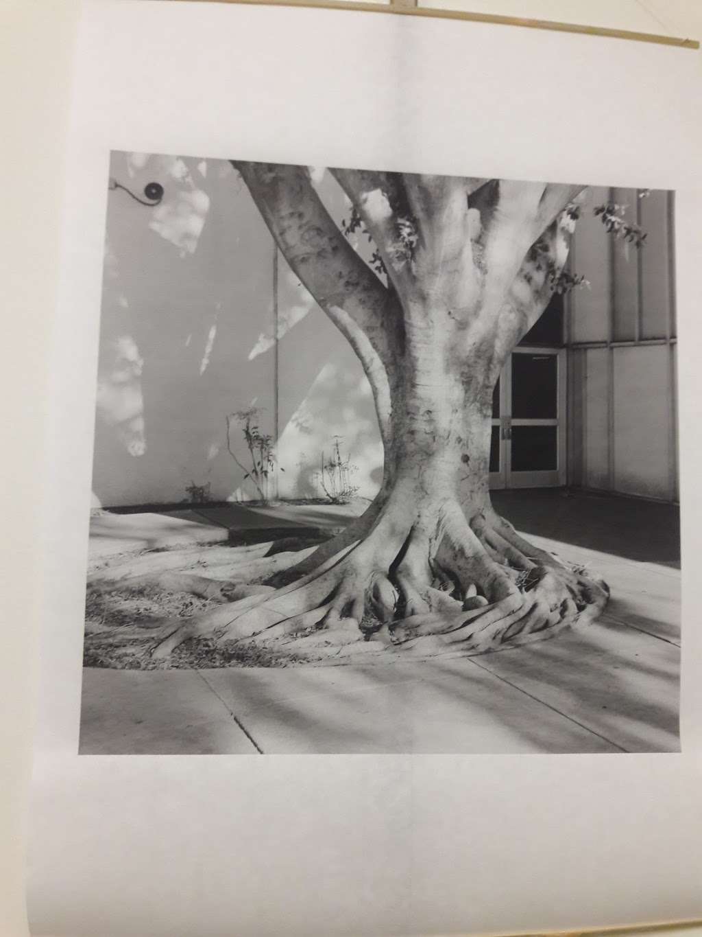 Cerritos College Art Gallery | 11110 Alondra Blvd, Norwalk, CA 90650, USA | Phone: (562) 860-2451