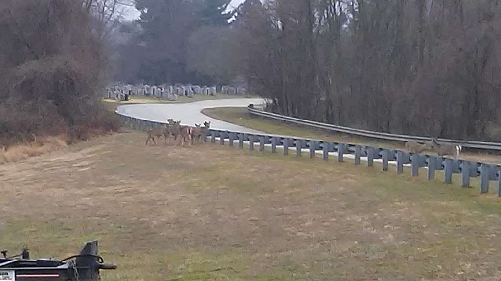 SS. Peter and Paul Cemetery | 1600 Sproul Rd, Springfield, PA 19064, USA | Phone: (610) 544-4933