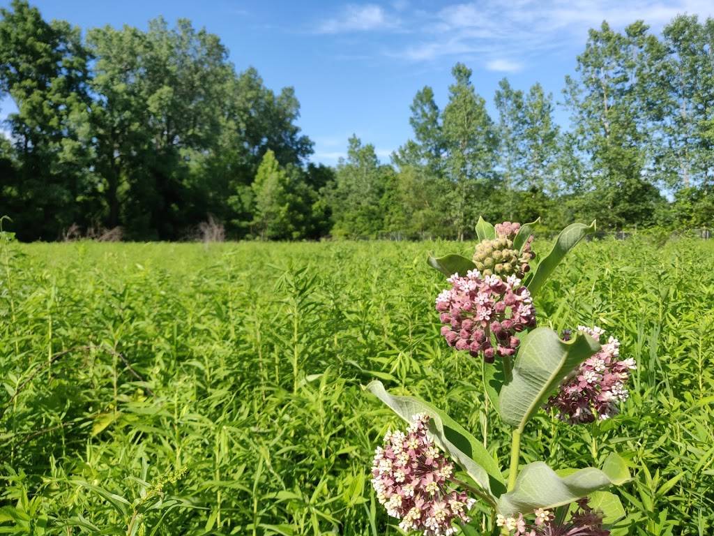 Black Oak Heritage Park | Ojibway Pkwy, Windsor, ON N9A 6S1, Canada | Phone: (519) 255-6267