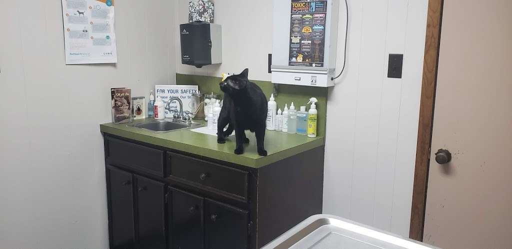 Mason Road Veterinary Clinic | 2014 N Mason Rd, Katy, TX 77449, USA | Phone: (281) 492-0409