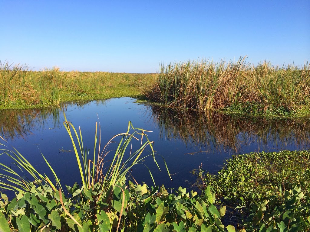 Emeralda Marsh Conservation Area | Emeralda Island Rd, Leesburg, FL 34788, USA | Phone: (386) 329-4404