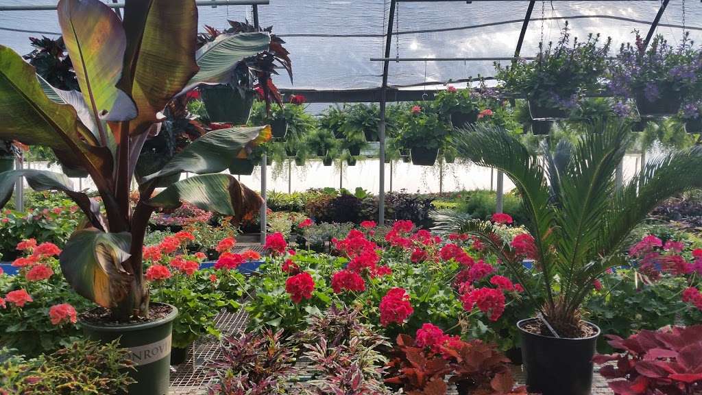 Southern Roots Garden Center | 505 Belmont Mt Holly Rd, Belmont, NC 28012, USA | Phone: (704) 827-0446