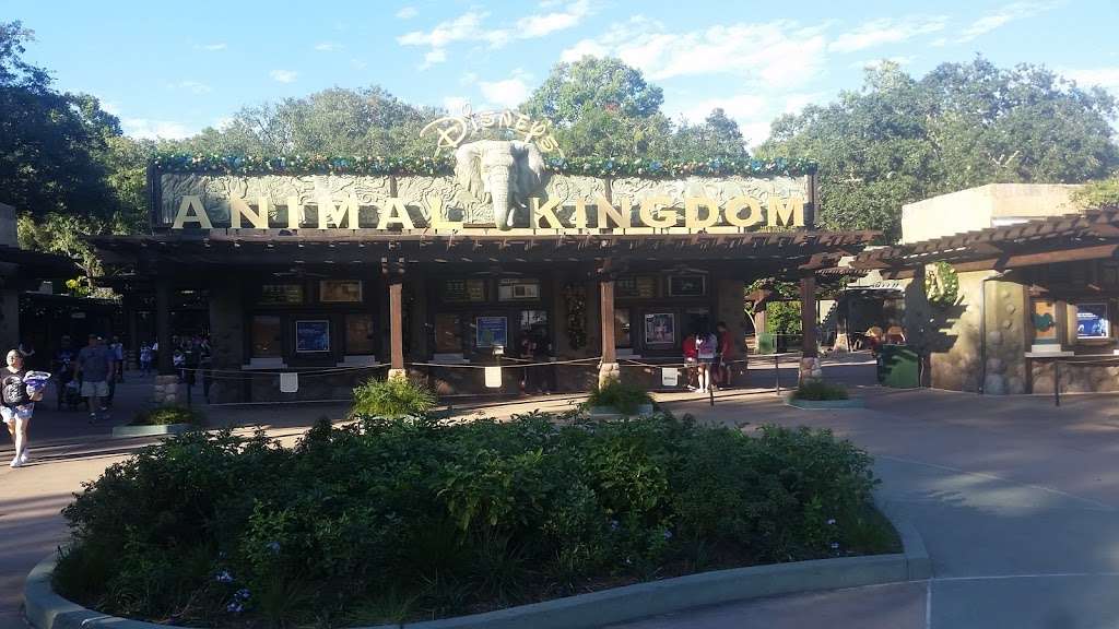 Rainforest Cafe Shop-Animal Kingdom | Walt Disney World Resort, Kissimmee, FL 34747, USA | Phone: (407) 938-9100