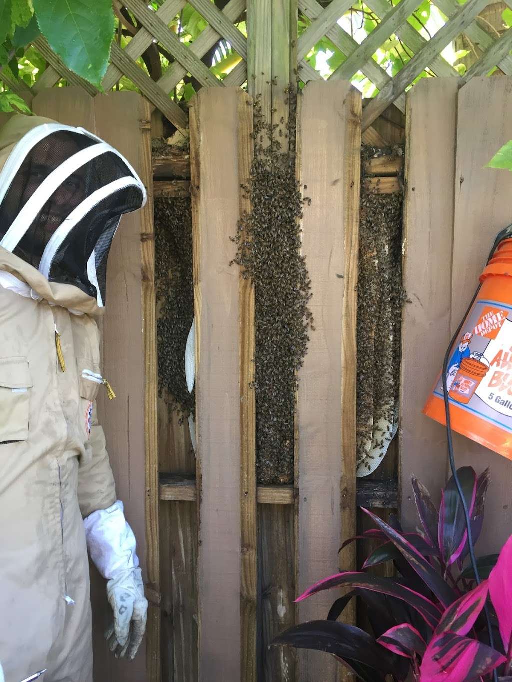 Easy Removal Solutions ( Bee removal) | 13211 74th St N, West Palm Beach, FL 33412 | Phone: (561) 248-7256