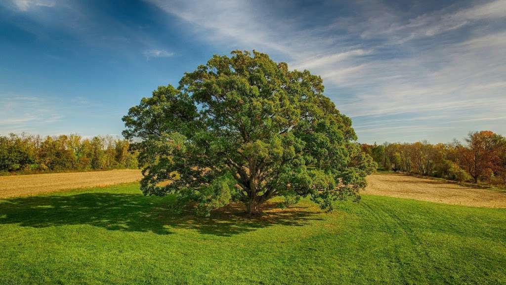 Natural Lands Bryn Coed Preserve | Flint Rd, Chester Springs, PA 19460 | Phone: (610) 353-5587