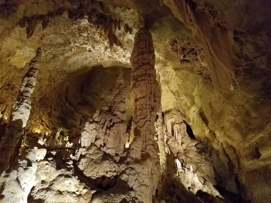 Bracken Cave Preserve (Bat Conservation International Inc Events | 26101 FM3009, San Antonio, TX 78266, USA