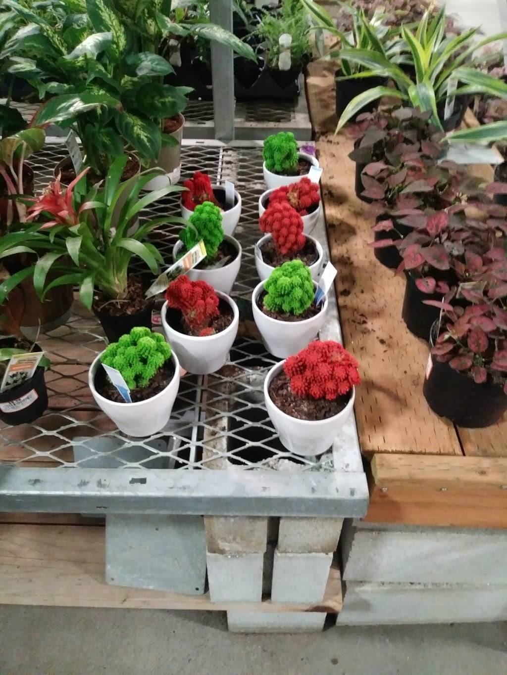 Garden Center at The Home Depot | 3639 E S Federal Way, Boise, ID 83705, USA | Phone: (208) 388-8500