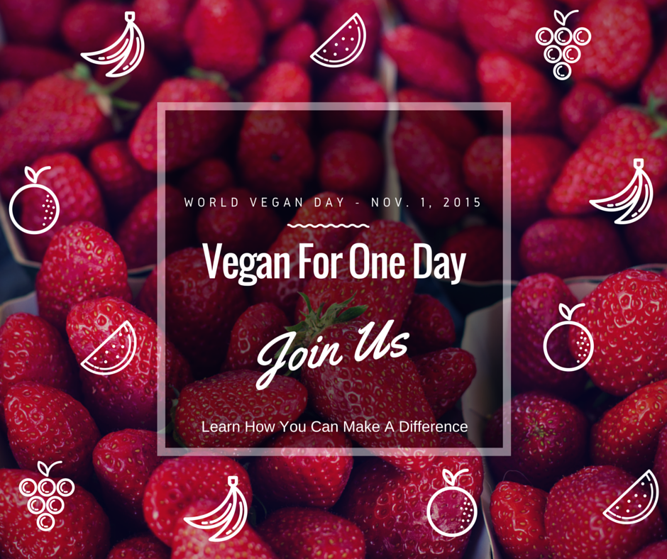 Vegan For One Day | 3 Anderson Ln, Robbinsville, NJ 08691, USA | Phone: (609) 310-1808