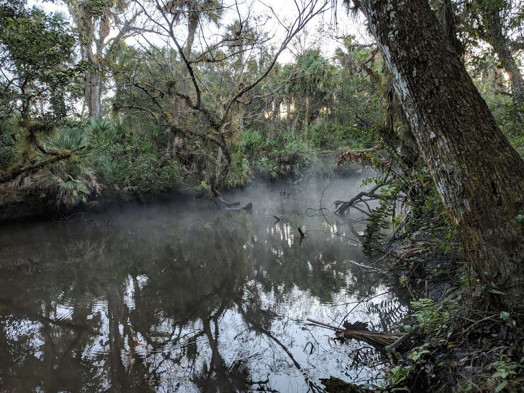 Atlantic Ridge Preserve State Park | 8120 SE Paulson Ave, Stuart, FL 34997, USA | Phone: (772) 546-2771