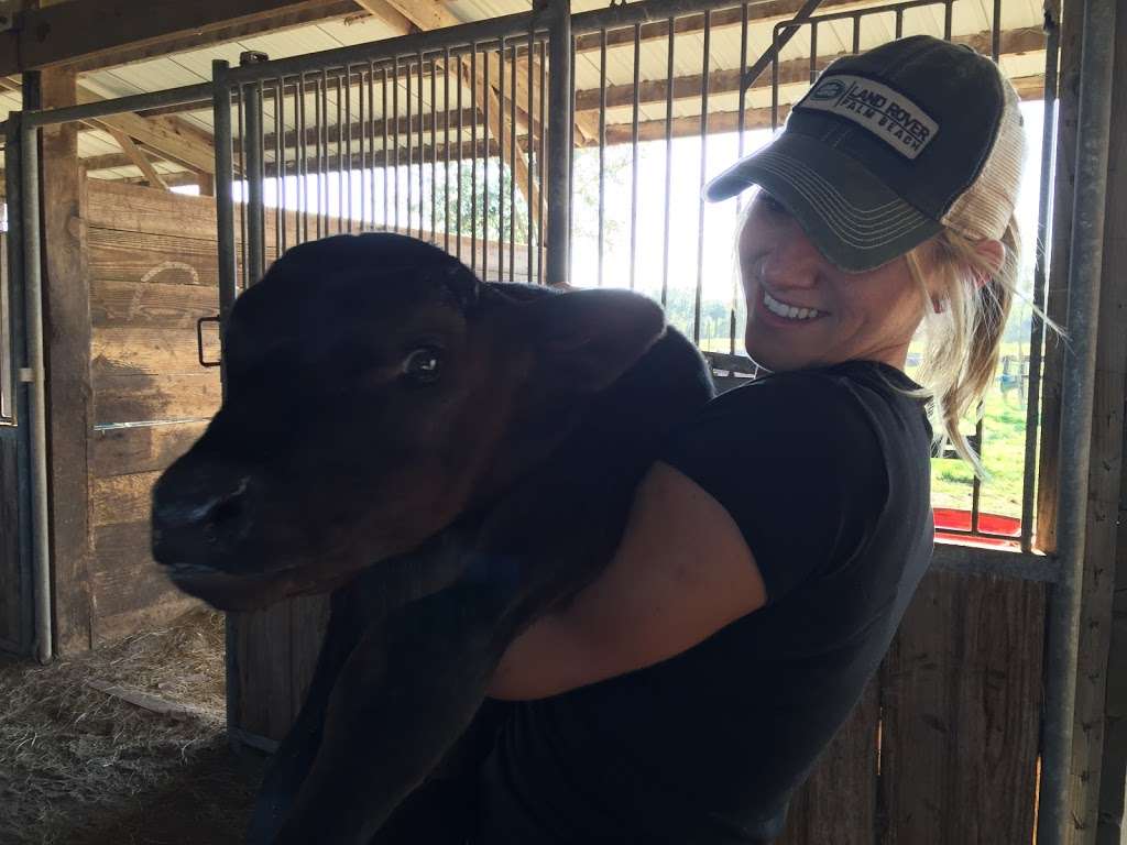 Deep Creek Stables | 2270 S Co Rd 3, Pierson, FL 32180, USA | Phone: (386) 985-0520