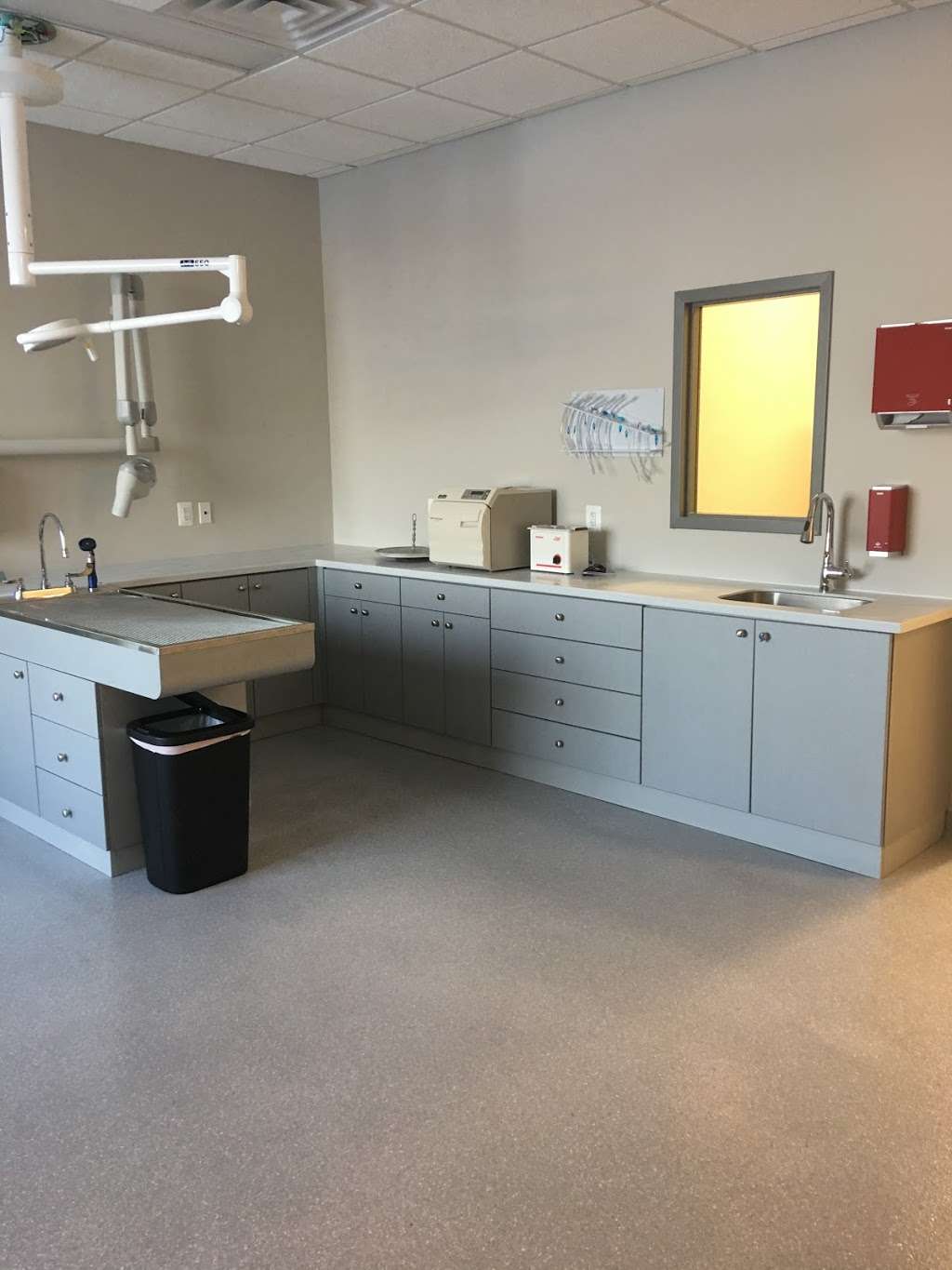 Goose Creek Veterinary Hospital | 42755 Creek View Plaza, Ashburn, VA 20147, USA | Phone: (571) 291-9110