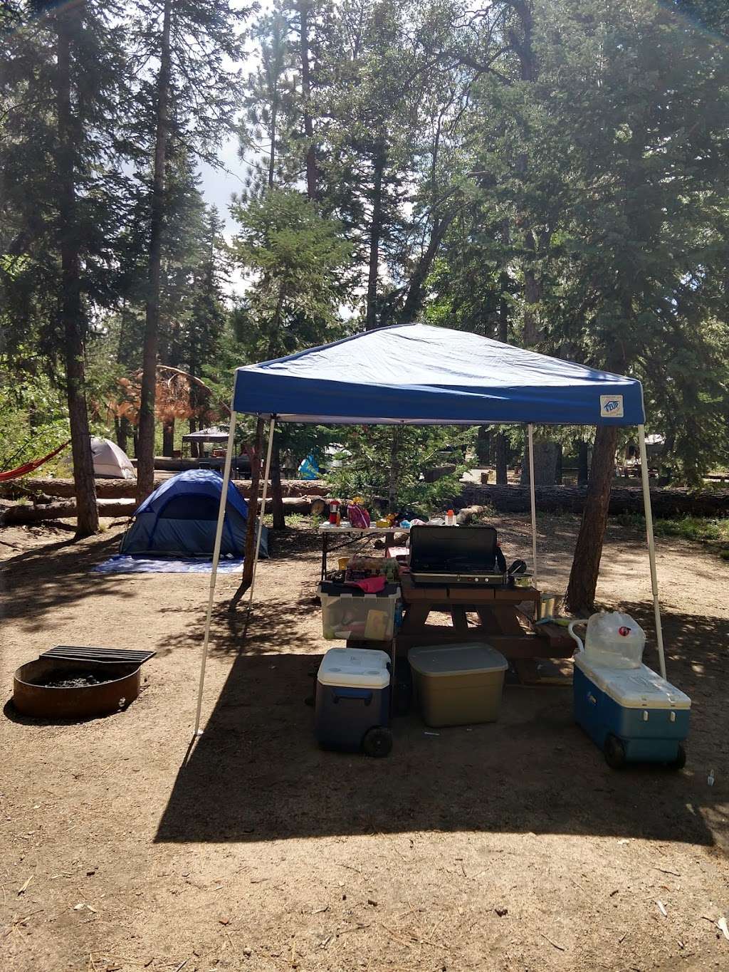 Hanna Flat Campground | 38198 Rim of the World Dr, Fawnskin, CA 92333, USA | Phone: (877) 444-6777