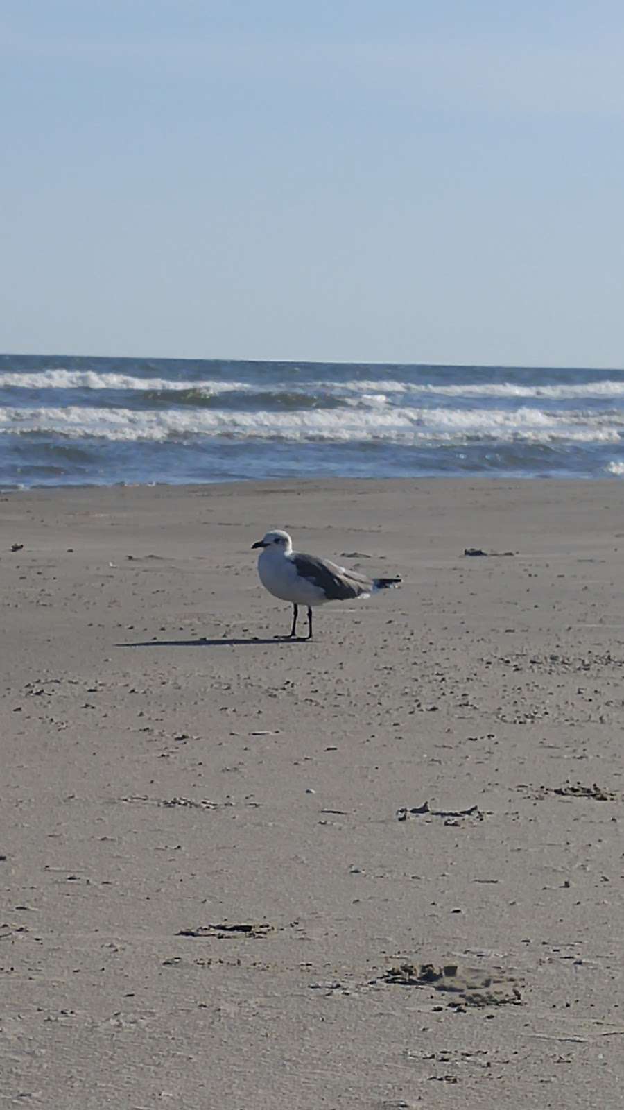 East Beach Free Parking | Apffel Park Rd, Galveston, TX 77550, USA