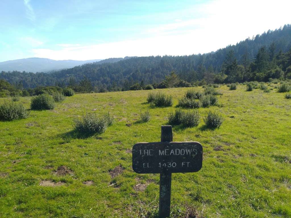 The Meadows | Intersection of Meadow Trail and Wunderlich Park, Bear Gulch Trail, Woodside, CA 94062, USA