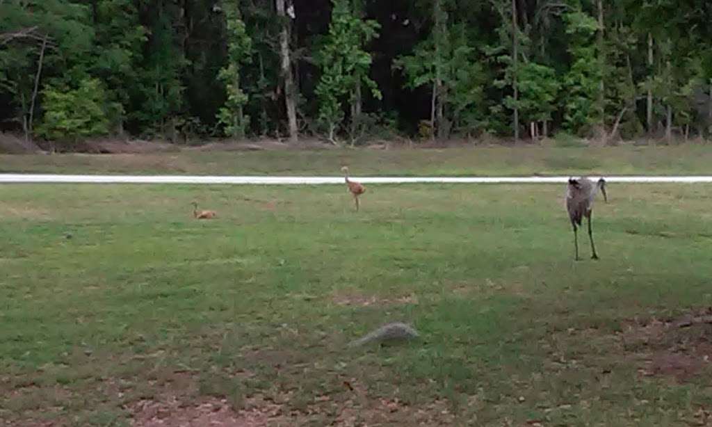 Marion County Fire Rescue Station 18 | 11941 SE 55th Avenue Rd, Belleview, FL 34420, USA | Phone: (352) 291-8000