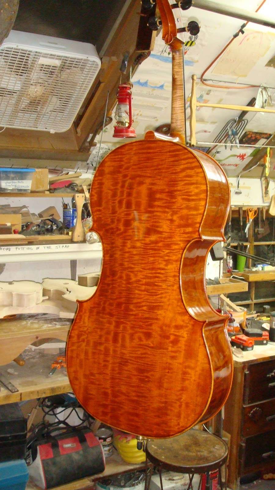 Maday Edward Violin & Viol Maker | 1066 Stanton Ave, Woodmere, NY 11598, USA | Phone: (516) 374-4943