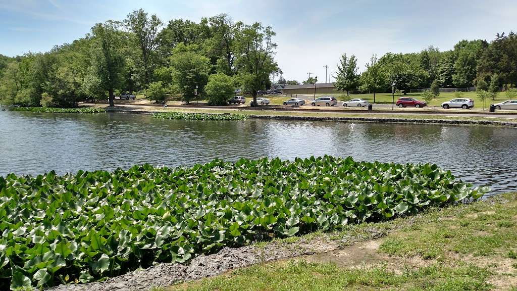 Haddon Lake Park | Haddon Township, NJ 08107, USA | Phone: (856) 216-2117