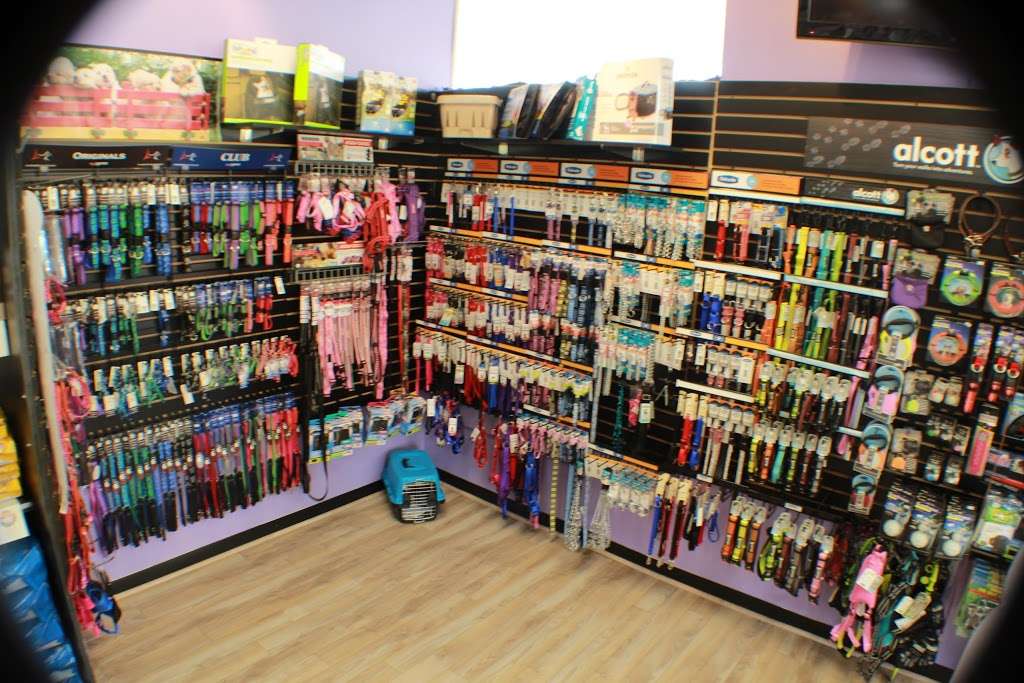 Pet Nirvana | Amyclae Shopping Center, 1202 Agora Dr E, Bel Air, MD 21014, USA | Phone: (443) 371-2775