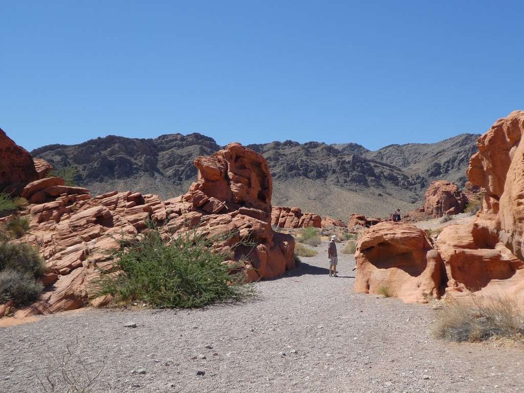 Beehives | Valley of Fire Hwy, Overton, NV 89040