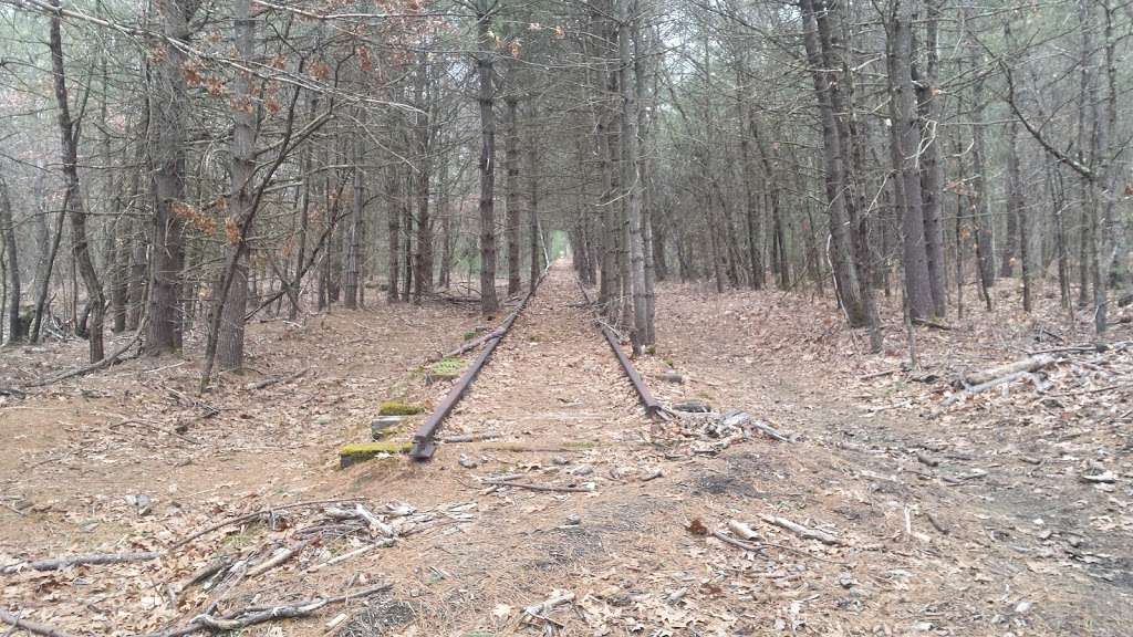 Hopbrook Marsh Conservation Land | Sudbury, MA 01776, USA