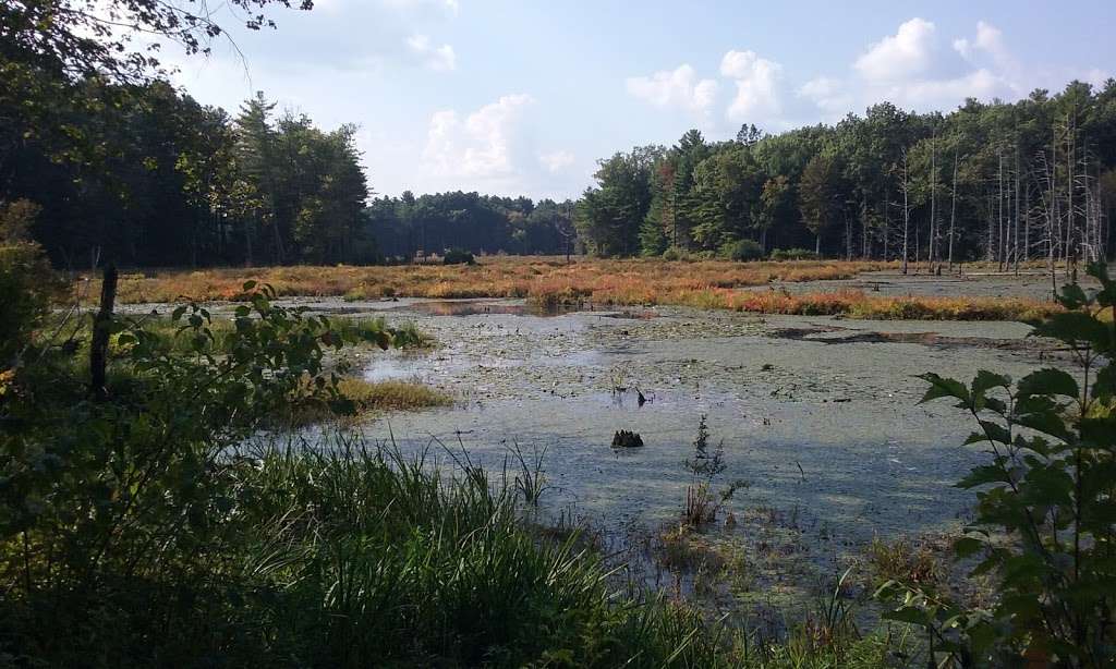 Assabet River National Wildlife Refuge Visitor Center | 680 Hudson Rd, Sudbury, MA 01776, USA | Phone: (978) 562-3527